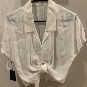 Aritiza White Crop Top